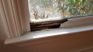 Signs You Need New Windows